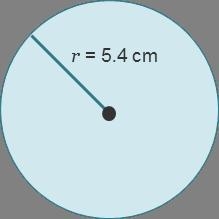 Use the circle to answer the questions The diameter is (A. 3.1 B. 5.4 C. 10.8 D. 16.2) cm-example-1