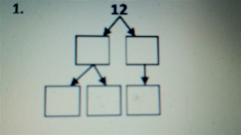 What is the Factor Tree for 12​-example-1