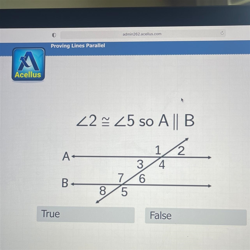 True or false? Help please-example-1