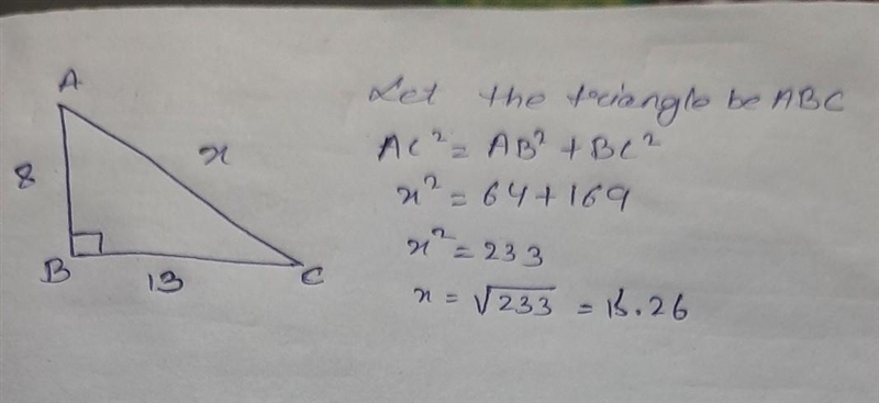 Solve for x. Please help-example-1