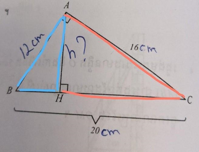 Find height thanks IIIIIIIIIIIII-example-1