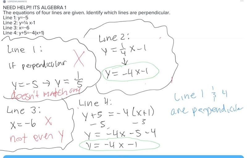 NEED HELP!! ITS ALGEBRA 1 The equations of four lines are given. Identify which lines-example-1