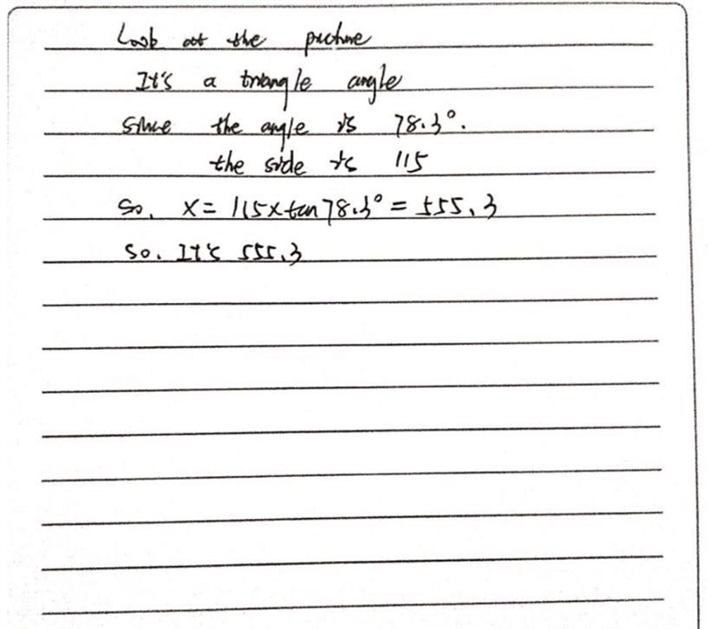 Find the measure of x. 78.3° 115-example-1