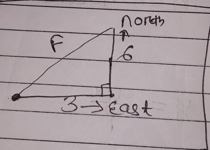 Ross walked 3 m east and 6 m north. How far is he from the starting point-example-1