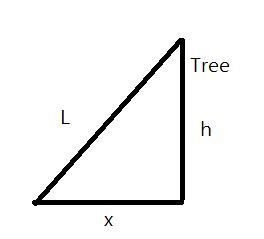 11) Peyton is sitting on the ground at the park flying a kite. The length of the kite-example-1