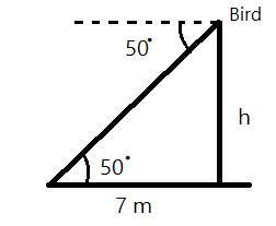 A bird sitting at the top of a tree looks down at an angle of 500 , at an earthworm-example-1