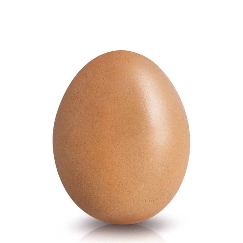 Eggsactlyyyyyyyyyyyy-example-1