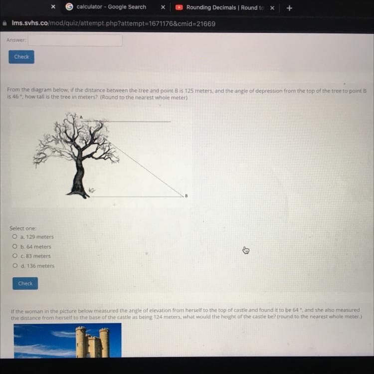 From the diagram below, of the distance between the tree and point B is 125 meters-example-1