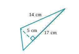 Help asap Find the area of the triangle below. Be sure to include the correct unit-example-1