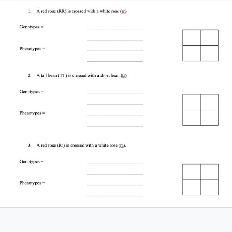 HI CAN SOMEONE HELP ME WITH THESE PUNNET SQUARES PLS-example-1