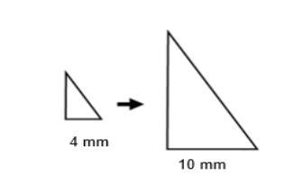 Pls help Brainelist if correct The first triangle is dilated to form the second triangle-example-1