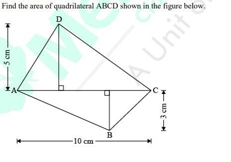 Please give full explanation-example-1