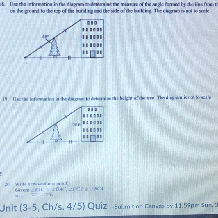 19. Use the information in the diagram to determine the height of the tree. The diagram-example-1