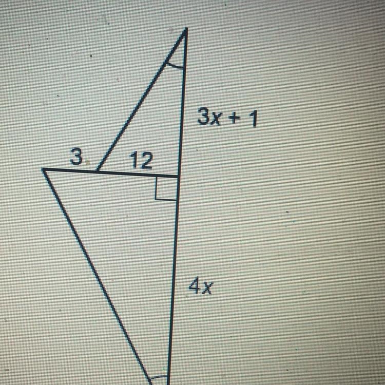 The two triangles are similar. What is the value of x? Enter your answer in the box-example-1