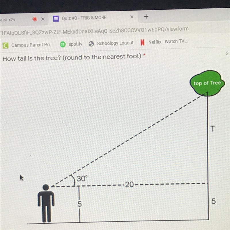 How tall is the tree ? Help me Please-example-1