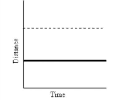 What does this graph represent? Question options: not moving acceleration constant-example-1