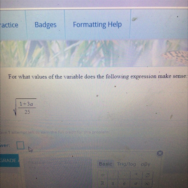 For what values of the variable does the following expression make sense: (squareroot-example-1