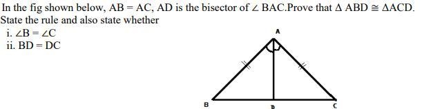 Pls help i was to turn this by tomorrow-example-1