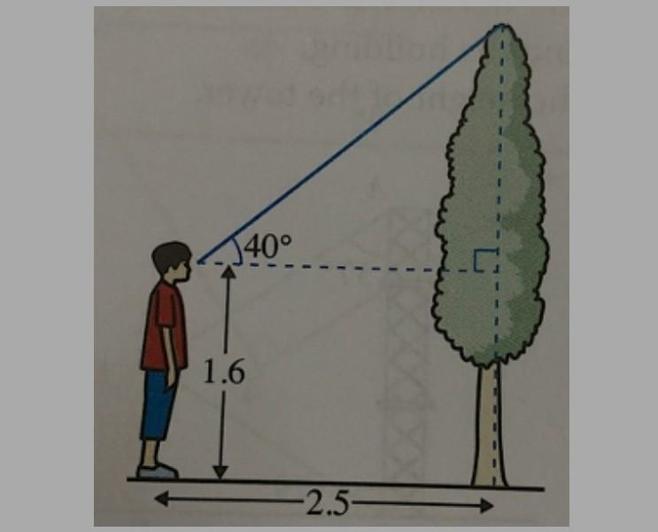 Ali stands 2.5 m away from a tree. When he looks at the top of the tree, the line-example-1