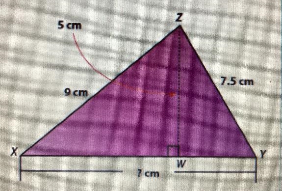 The triangle shown has an area of 32.5 square centimeters. Find the measure of the-example-1