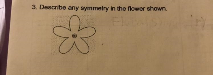 Geometry question: Describe any symmetry in the flower showen-example-1