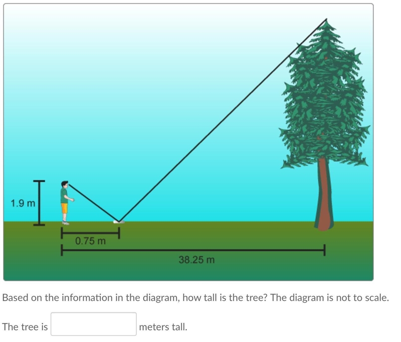 How tall is the tree?-example-1