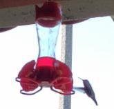 What is 8^3x4+6^2-37+69x2^3? I saw a hummingbird o-o-example-1