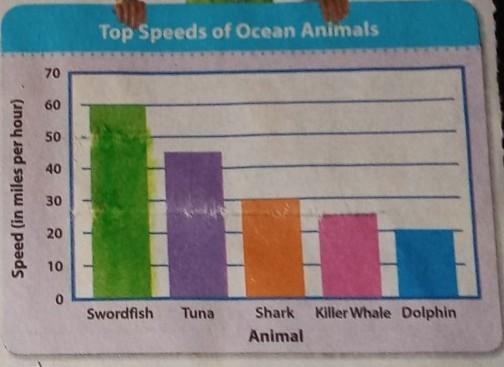 Give three equivalent rates that describe the top speed of a tuna.​-example-1