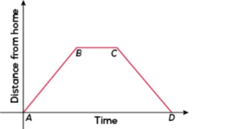 The graph shows Marcia's walk. Which statement best describes what Marcia could be-example-1