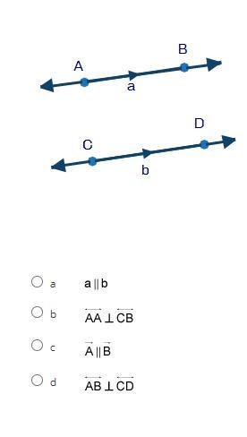 Which is the correct label of the parallel lines?-example-1