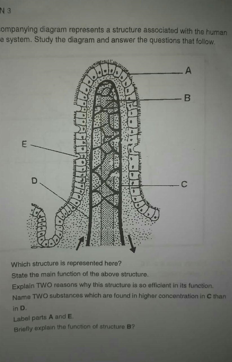 What structure is this?​-example-1