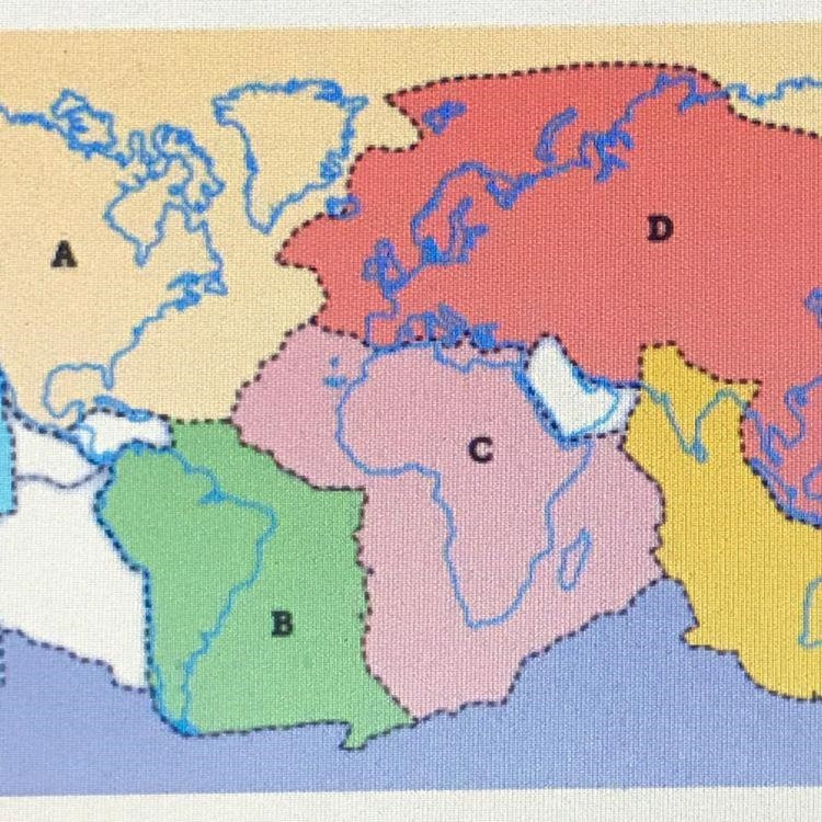 Which plate is the South American plate? A B C D-example-1