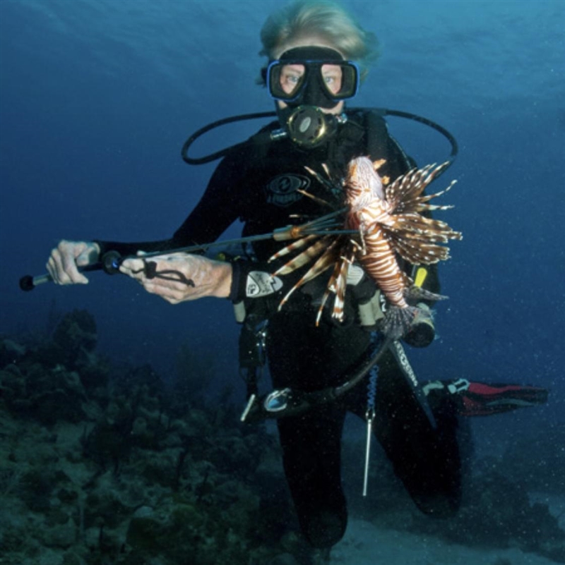 What is a description for this lionfish?-example-1