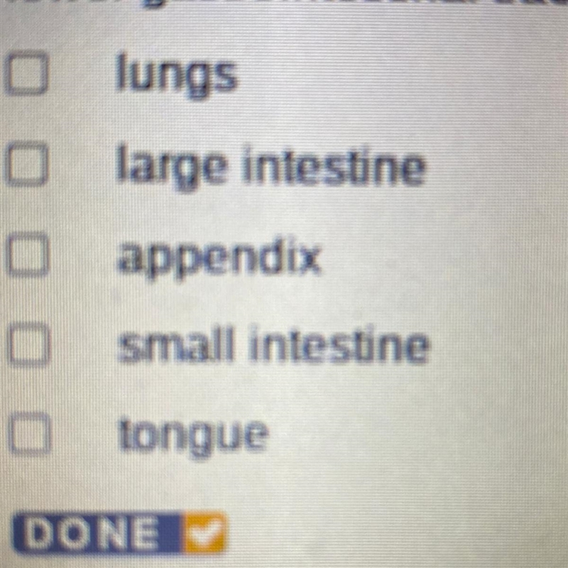 Which of the following organs are found in the lower gastrointestinal tract? Check-example-1