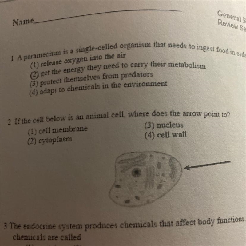 If the cell below is an animal cell, where does the new pomi to di cell membrane ) nucleus-example-1