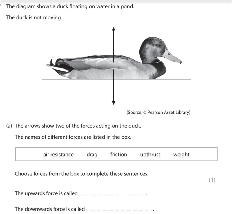 Choose forces from the box to complete these sentences.-example-1