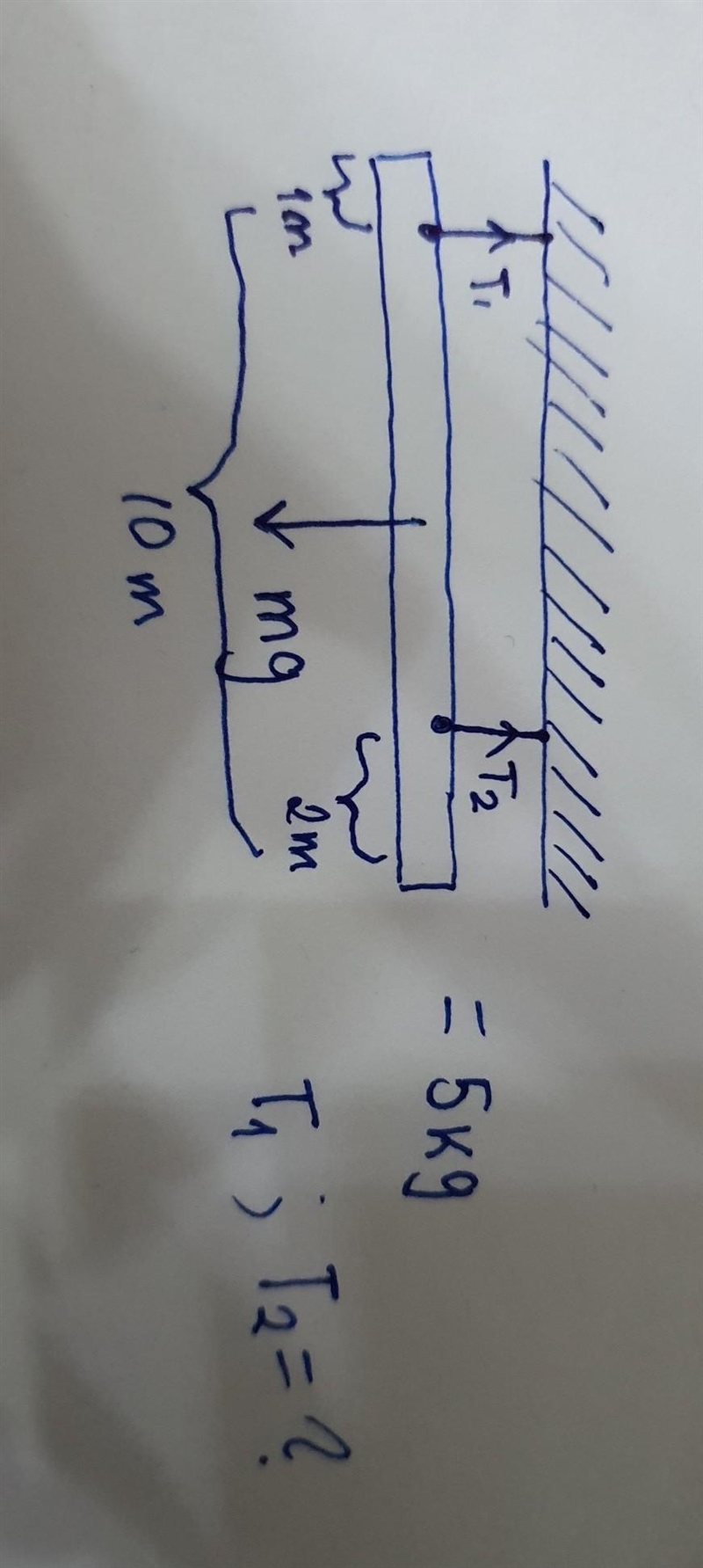 Help me with thisssss m= 5kg l= 10m l¹= 1m l²= 2m T¹, T² =??​-example-1