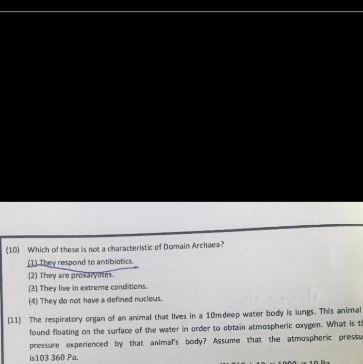 The 11 th one please! Somebody help me:(-example-1