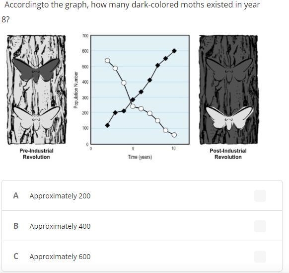 •Accordingto the graph, how many dark-colored moths existed in year 8?-example-1