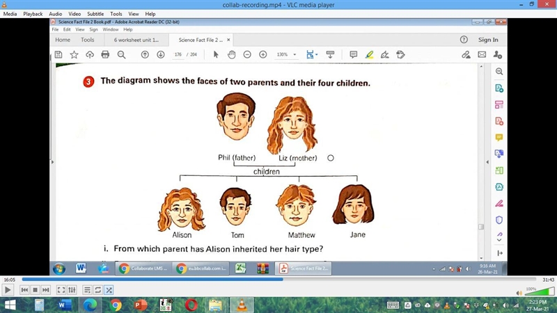 How many children inherited their chin shape from their mother?-example-1