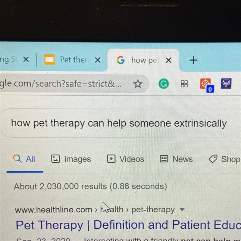 How pet therapy can help someone extrinsically-example-1