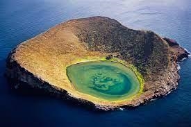 Can anyone send me the picture of Galapagos plz plz ​-example-1