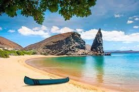 Can anyone send me the picture of Galapagos plz plz ​-example-2