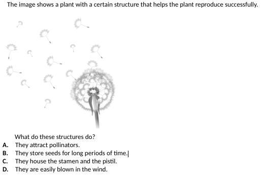 Please help this the last question-example-1