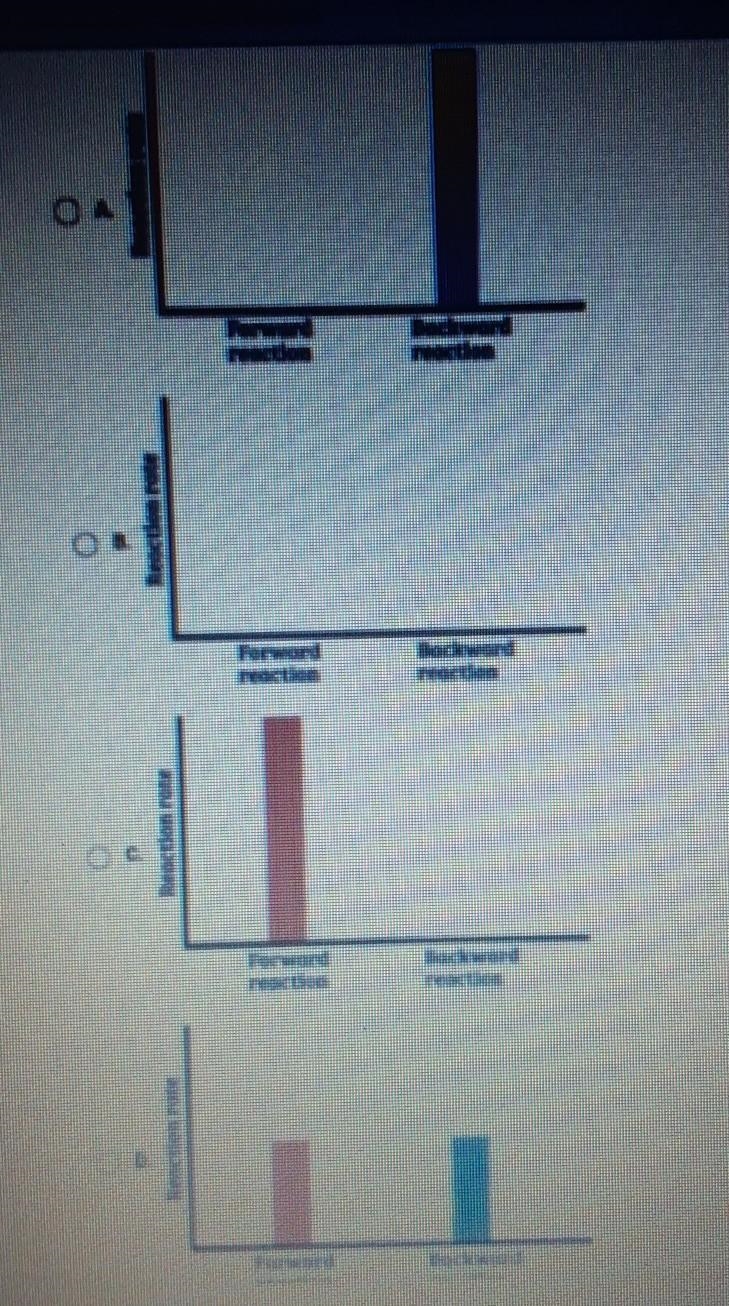 Which bar graph shows the reaction rates for a reversible reaction that has stopped-example-1