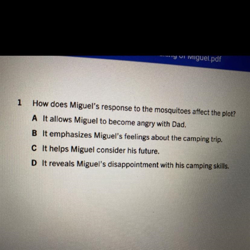 1 How does Miguel's response to the mosquitoes affect the plot? A It allows Miguel-example-1