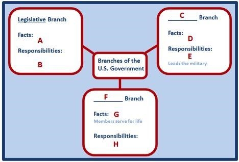 ASAP A graphic which has a box in the middle that says Branches of U.S. Government-example-1