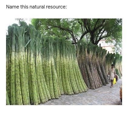 What is this natural resource in the picture below?-example-1