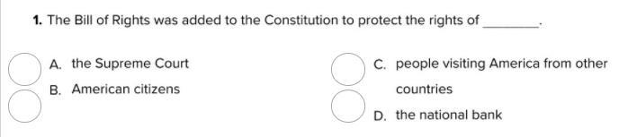 The bill of rights was added to the constitution to protect the rights of blank-example-1