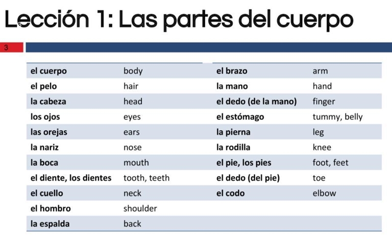 Instrucciones: Usando el vocabulario de las rutinas diarias, escriba 6 frases que-example-1